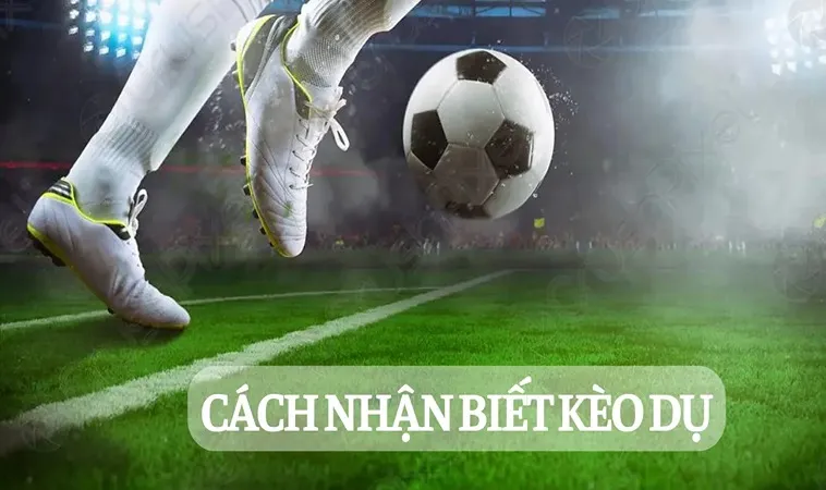 Cách Nhận Biết Kèo Dụ: Hướng Dẫn Chi Tiết Từ A - Z 2 Cách nhận biết kèo dụ đòi hỏi kinh nghiệm, quan sát kỹ lưỡng