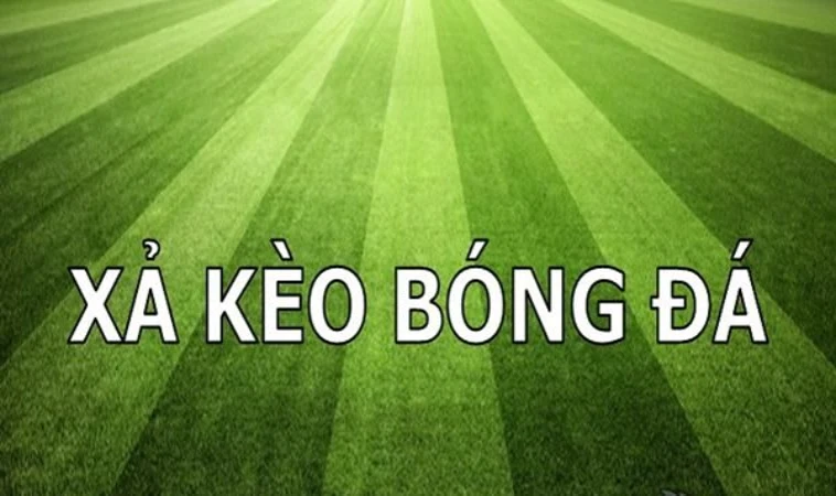 Xả Kèo Là Gì Và Cách Thực Hiện Hiệu Quả Nhất Cho Dân Chơi 2 Tìm hiểu về xả kèo trong cá độ thể thao